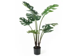 Sale Present time - Artificial plant Monstera