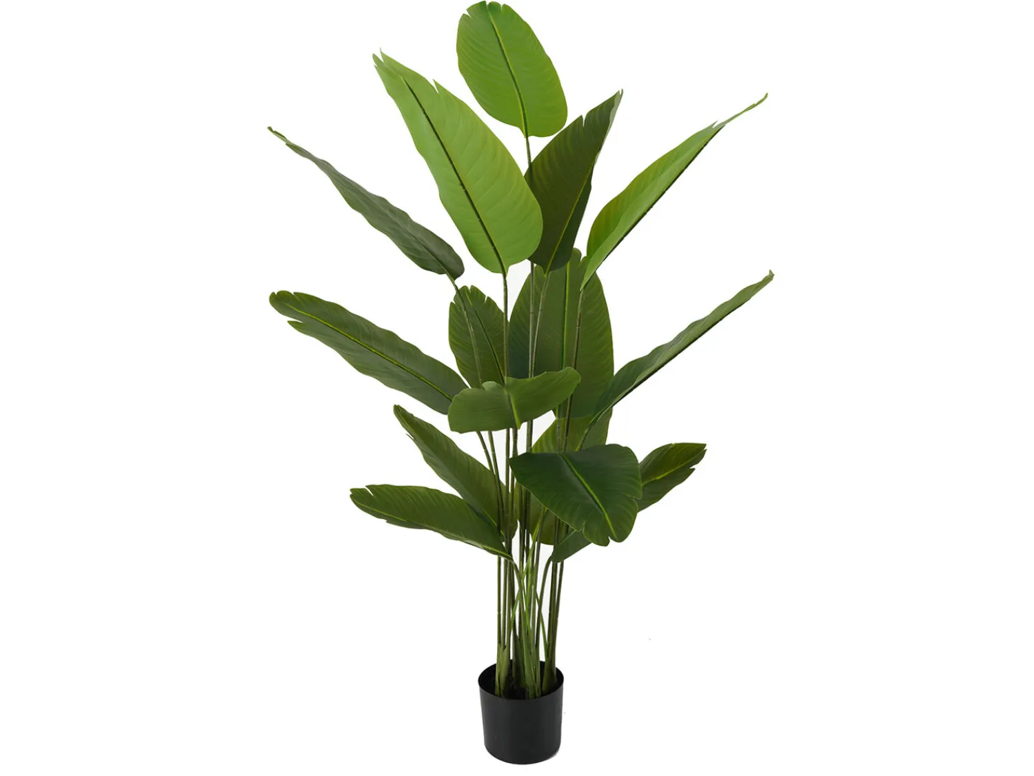 Discount Present time - Artificial plant Canna green
