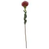 Best Present time - Artificial plant Protea Flower large burgundy red