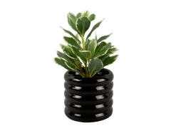Outlet Present time - Plant Pot Bobbly Glazed ceramic small black