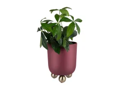 Clearance Present time - Plant pot Estilo large dark mauve