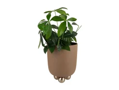 Sale Present time - Plant pot Estilo large mocha brown