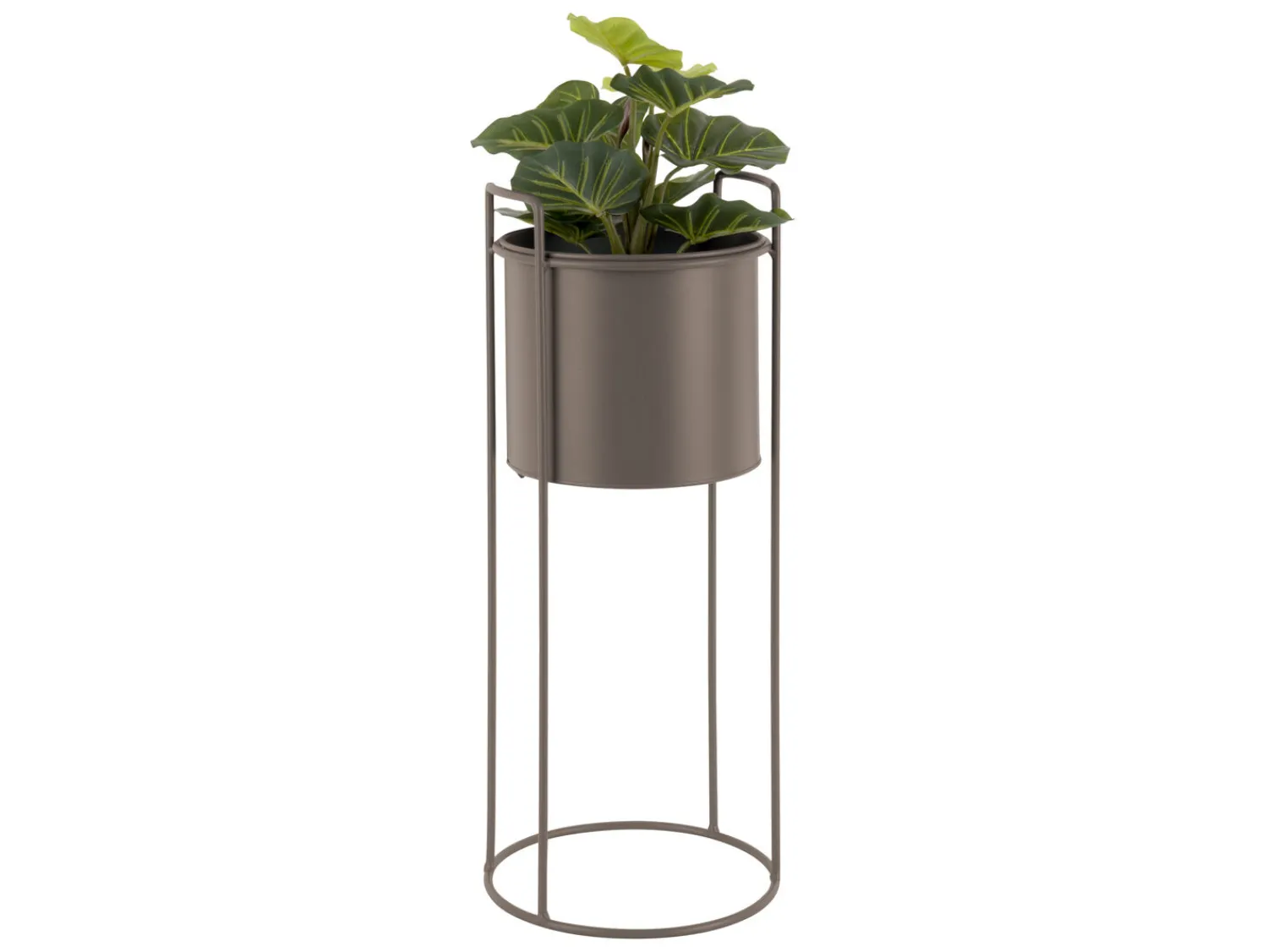 Discount Present time - Plant pot set Essence round iron moss green