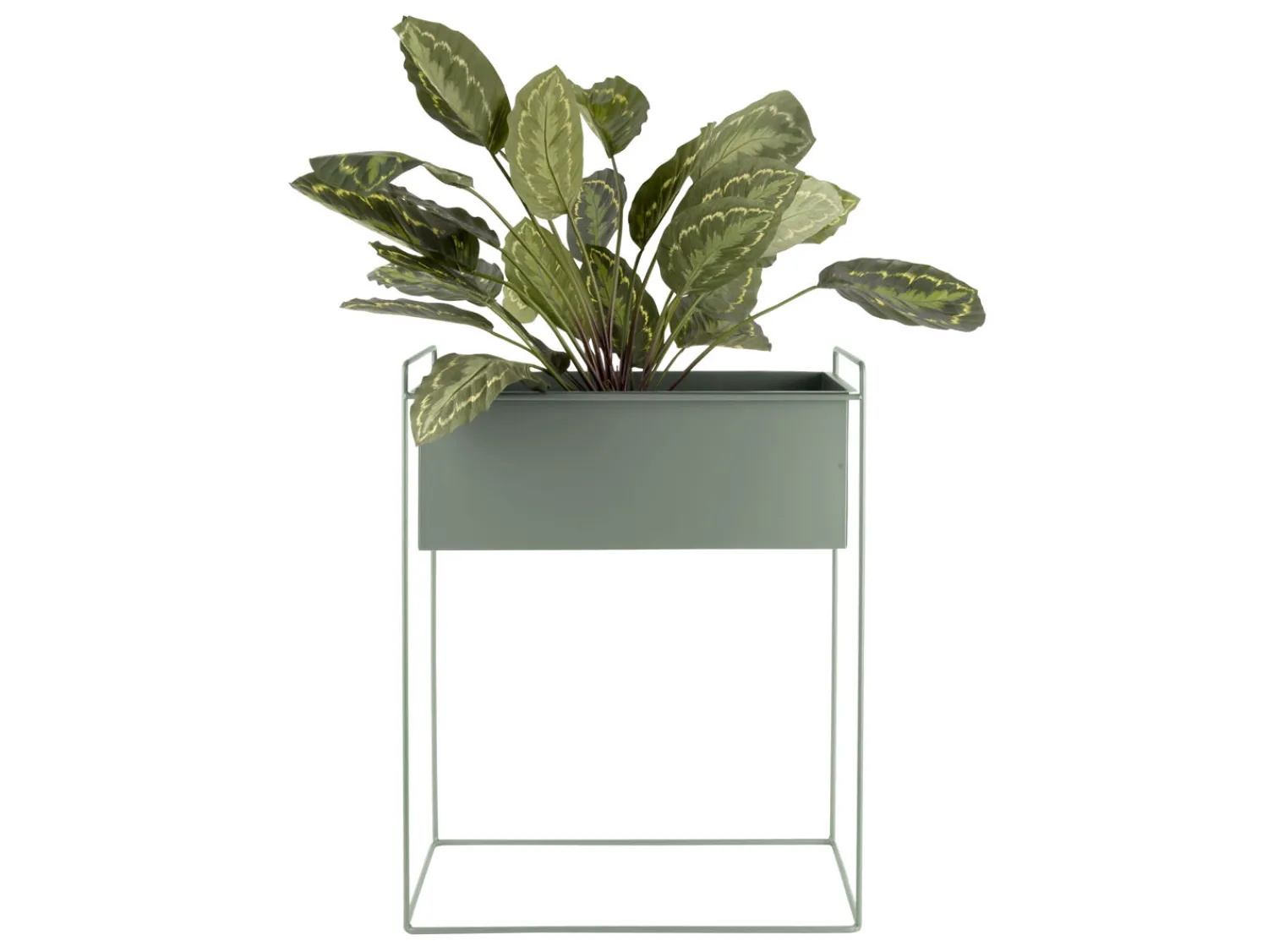 Online Present time - Plant pot set Essence straight iron jungle green