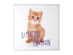 Online Present time - Wall art kitten Limited Edition purple