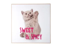 Clearance Present time - Wall art kitten Sweet & Spicy bright pink