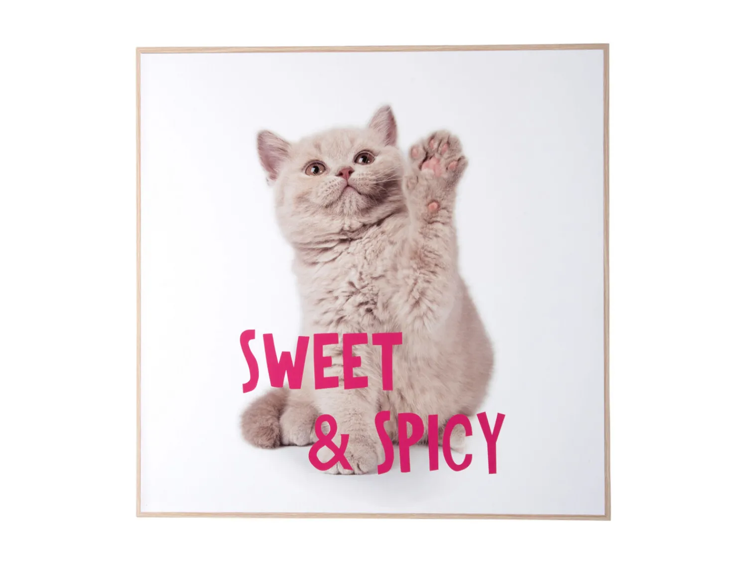 Clearance Present time - Wall art kitten Sweet & Spicy bright pink