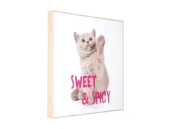 Clearance Present time - Wall art kitten Sweet & Spicy bright pink