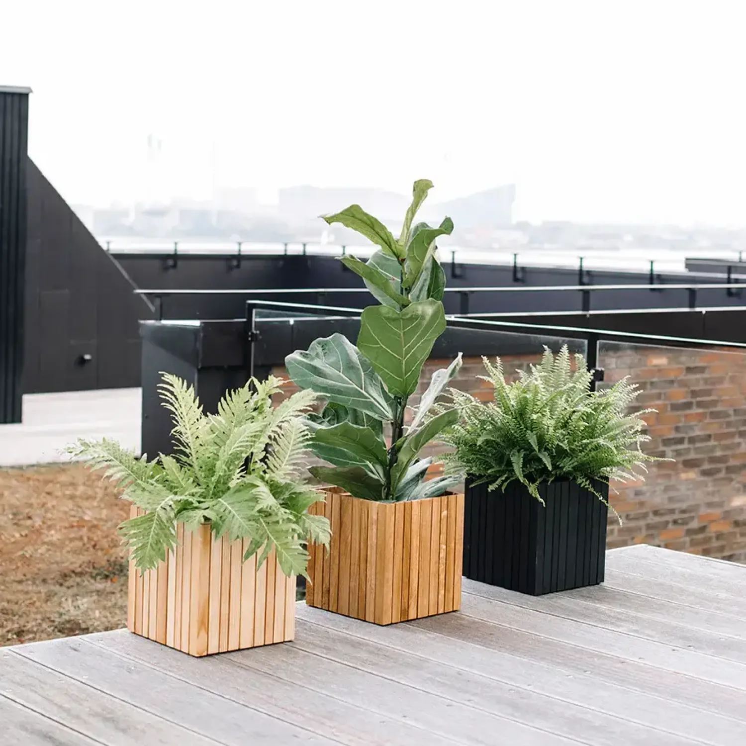 Clearance Squarely Copenhagen - Plantekasse - GrowON - Ask Natur