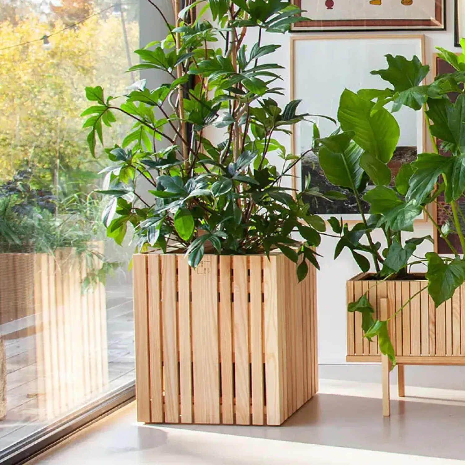 Hot Squarely Copenhagen - Plantekasse - GrowBIG - Ask Natur