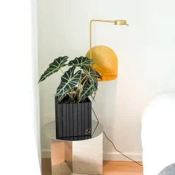 Online Squarely Copenhagen - Plantekasse - GrowON - Sort Ask