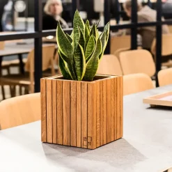 Best Squarely Copenhagen - Plantekasse - GrowON - Mørk Eg - 22 x 22 x 24 cm