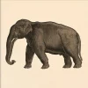 New The Dybdahl - Plakat - Elephant, Mini Print - 15x15 cm