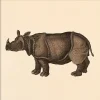 Hot The Dybdahl - Plakat - Rhino, Mini Print - 15x15 cm