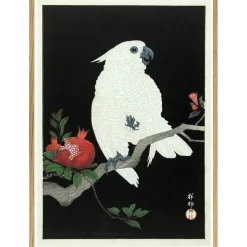 Hot The Dybdahl - Plakat 30x40 cm. - Cockatoo & Pomegranate - Papir