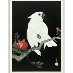 Hot The Dybdahl - Plakat 30x40 cm. - Cockatoo & Pomegranate - Papir