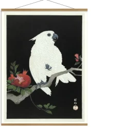 Hot The Dybdahl - Plakat 30x40 cm. - Cockatoo & Pomegranate - Papir