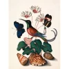 Sale The Dybdahl - Plakat 50x70 cm - Hummingbird, Butterflies & Flowers - Papir