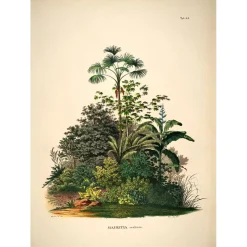 Sale The Dybdahl - Plakat 50x70 cm - Mauritia - Papir