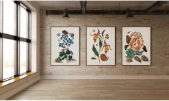 Hot The Dybdahl - Plakat 30x40 cm - Orange Lillies, Insects and a Shell - Papir