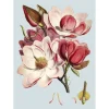 Best The Dybdahl - Plakat 30x40 cm - Pink Flower - Papir