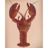Best VISSEVASSE - Hummeren plakat - 30x40 cm