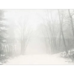 New VISSEVASSE - Peregrination plakat 50 x 70 cm