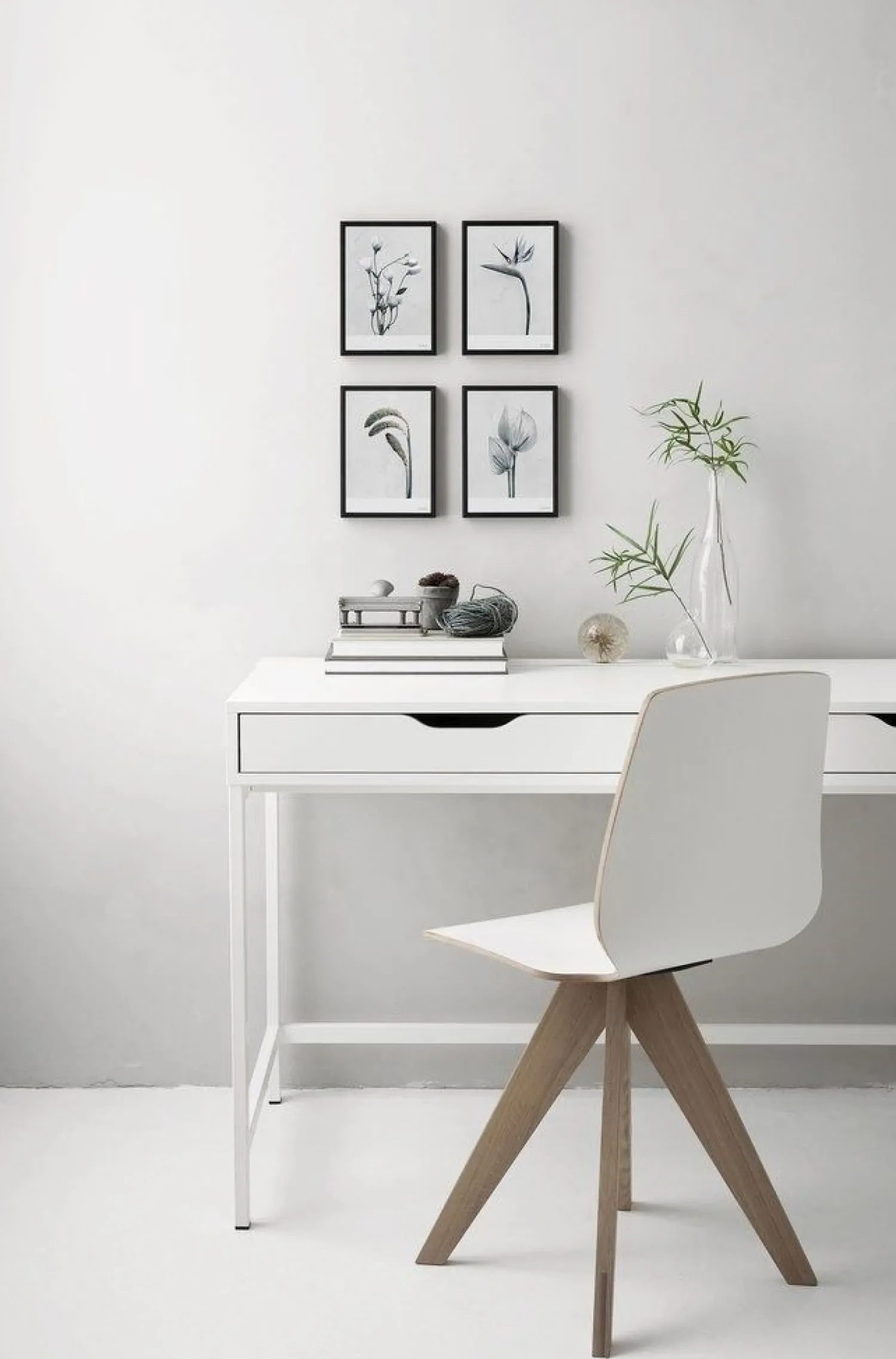 Sale VISSEVASSE - Plakat Botanica Anthurium Andraeanum - (50x70 cm)